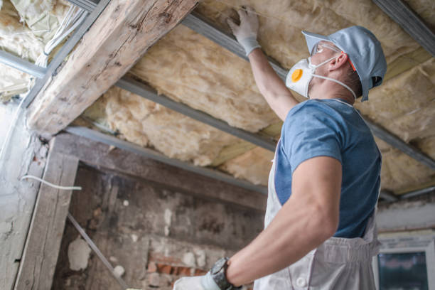 Best Insulation Maintenance and Repair in Mammoth Spring, AR