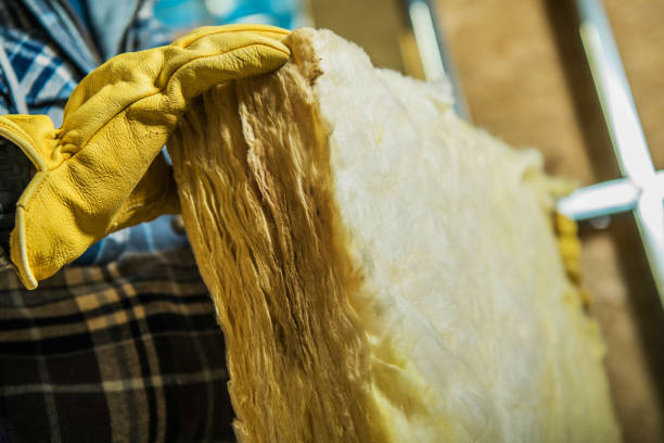Best Commercial Insulation in Mammoth Spring, AR