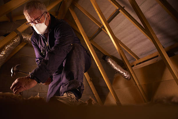 Best Insulation Installation Services in Mammoth Spring, AR